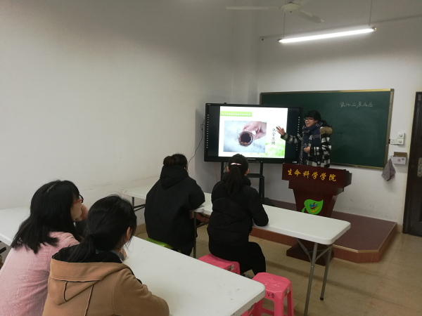 2024港澳门原料网1688大全